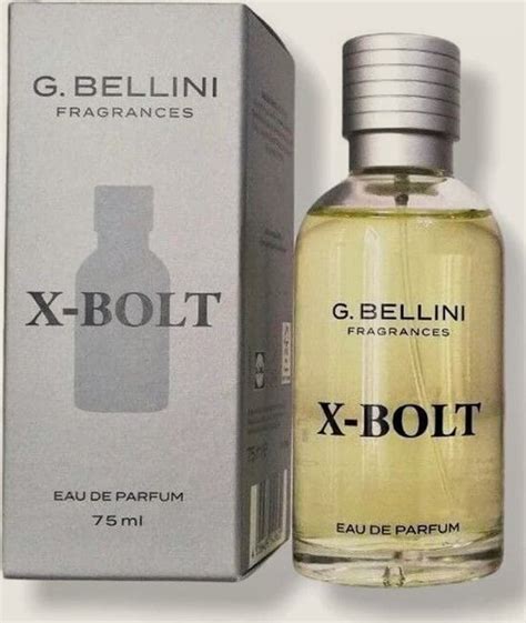 G. Bellini X.